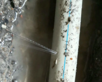 蓬莱卫生间测漏水多少钱