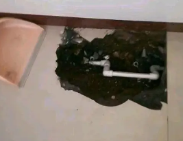 蓬莱卫生间测漏水多少钱